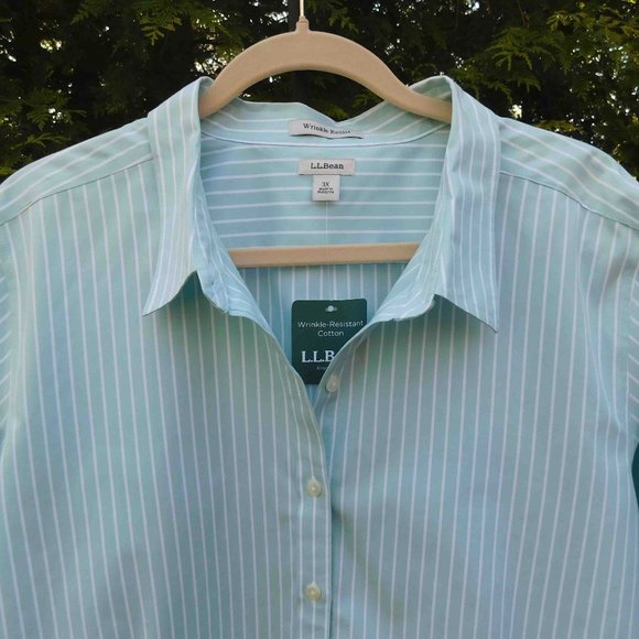LL Bean Aqua/White Pinstripe 3/4-Sleeve Wrinkle-Resistant Buttonfront Top NWT - Picture 2 of 3